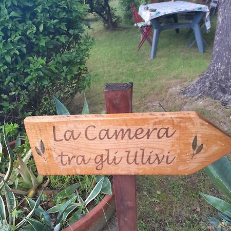 La Camera Tra Gli Ulivi Dream Finale Finale Ligure Exteriér fotografie