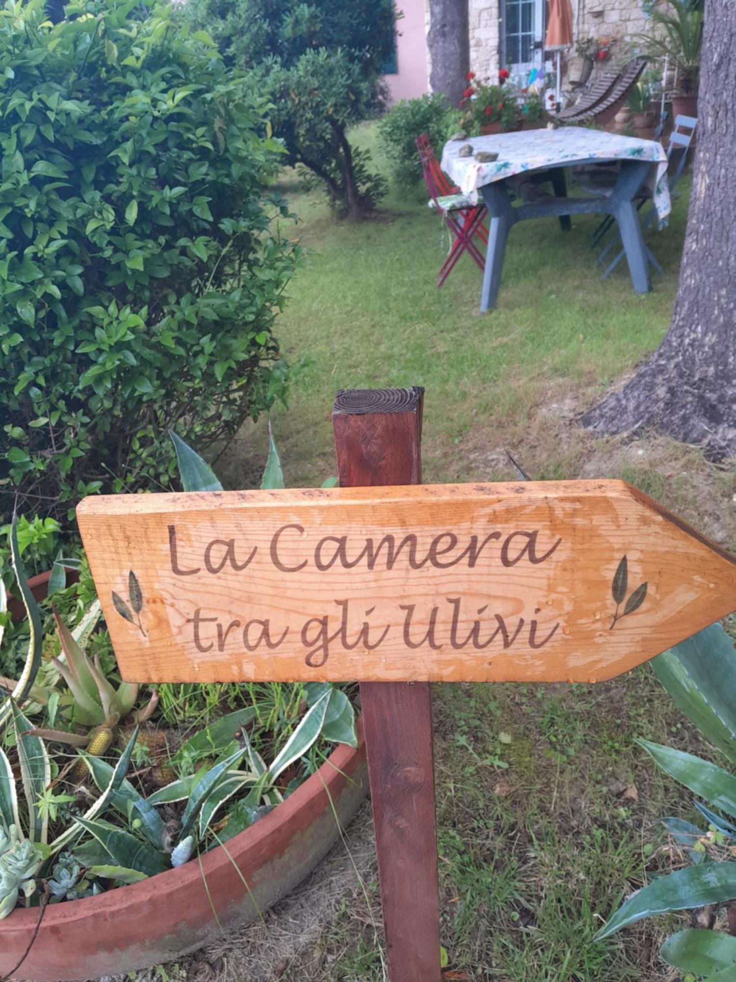 La Camera Tra Gli Ulivi Dream Finale Finale Ligure Exteriér fotografie