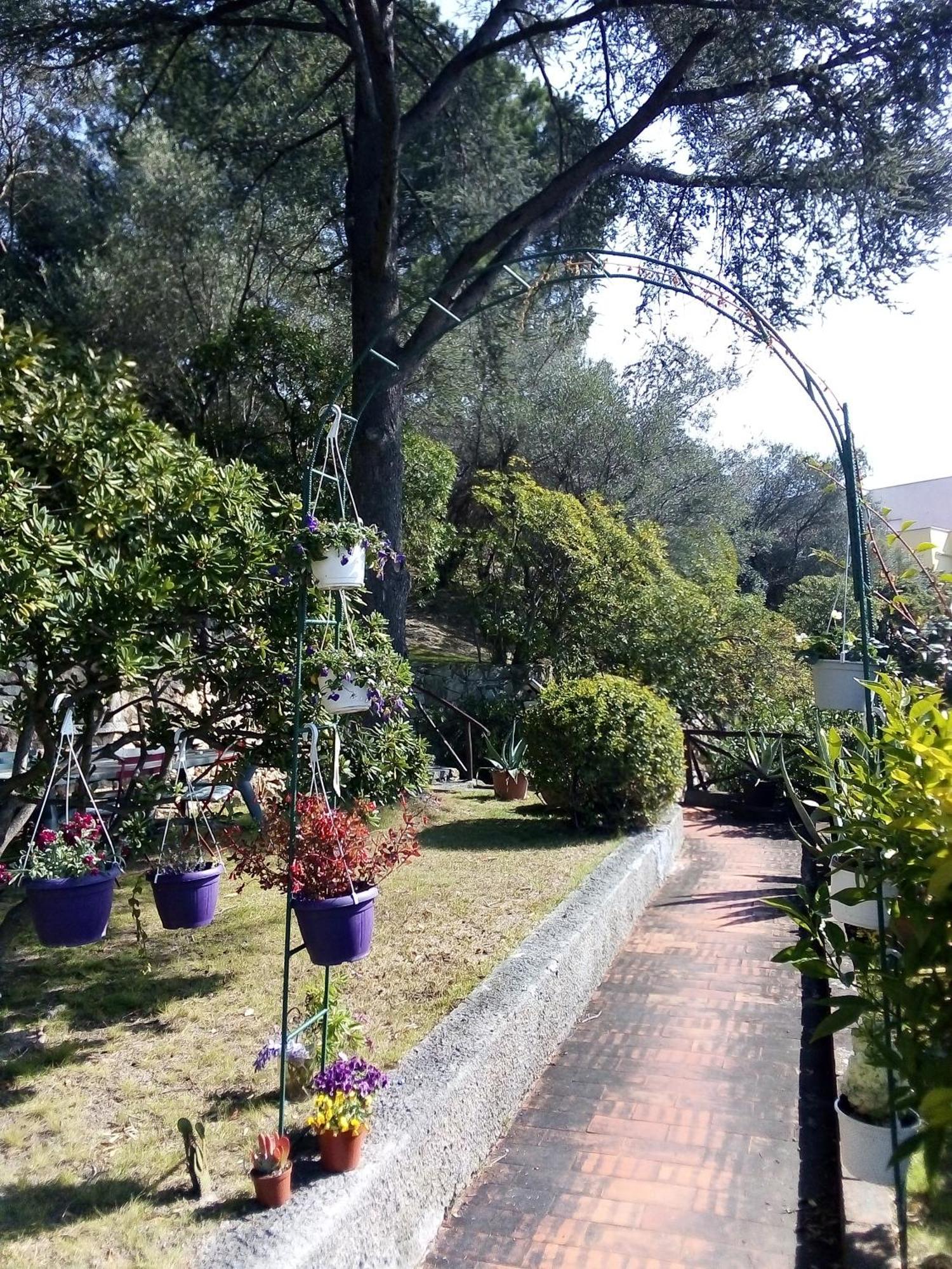 La Camera Tra Gli Ulivi Dream Finale Finale Ligure Exteriér fotografie