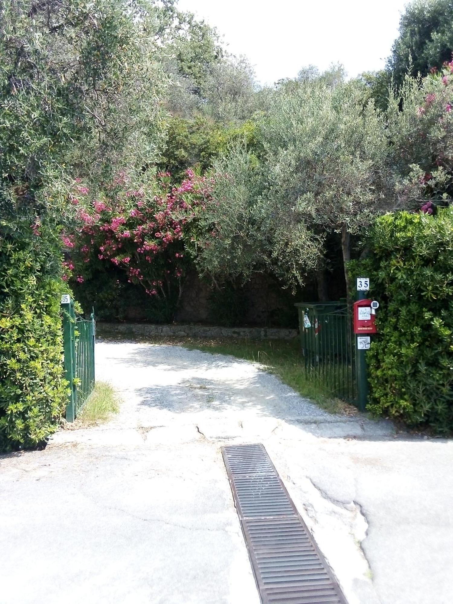 La Camera Tra Gli Ulivi Dream Finale Finale Ligure Exteriér fotografie