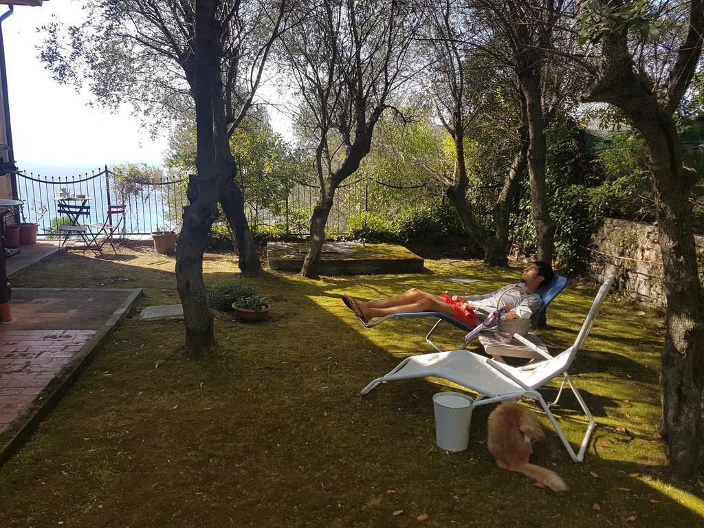 La Camera Tra Gli Ulivi Dream Finale Finale Ligure Exteriér fotografie